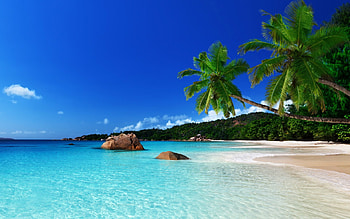 Jamaica Cares, Global travel, Tourism resilience council, Travel support HD wallpaper