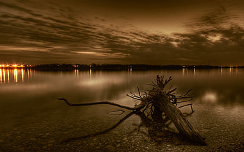 NATURE LAKE TREE, night, lights, clouds, sky, nature, lake, tree HD wallpaper