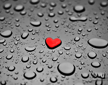 Drop and heart, love, red, drops, heart, water HD wallpaper
