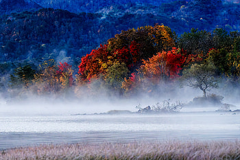 Melody Of Mist Dawn At Lake Hibara, mist, lake, nature HD wallpaper