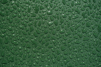 green, nature, water drop HD wallpaper