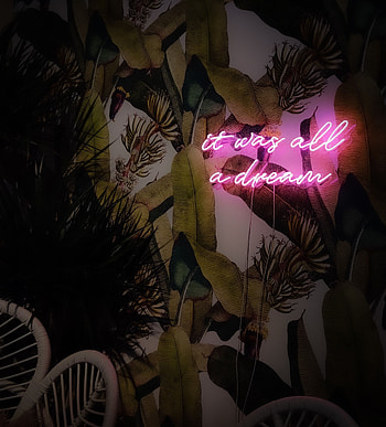 Words, Wall, Neon, Glow, Text, Sign, Signboard HD phone wallpaper