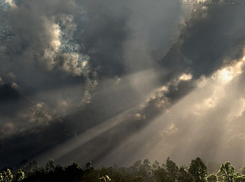 Angry Sky, sunlight, clouds, trees, storm, dark HD wallpaper
