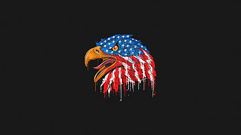 American Flag Eagle Minimal , eagle, usa, america, artist, artwork, digital-art, minimalism, minimalist, black, dark HD wallpaper