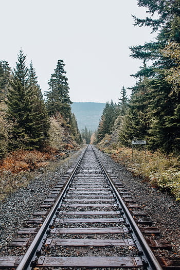 Captivating view of a railroad stretching through a verdant forest with clear skies. HD phone wallpaper