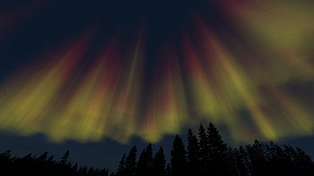 Aurora, video game, DayZ HD wallpaper