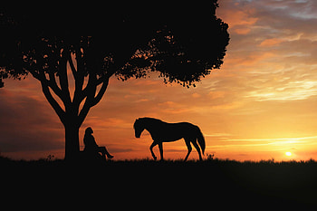 Sunset on a Cowgirl and her Horse, horse, nature, cowgirl, sunset HD wallpaper