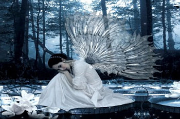 Fairy With Glass Wings, fairy, white lilies, glass wings, water, forest, female HD wallpaper