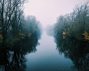 Nature, Rivers, Trees, Bush, Reflection, Fog HD wallpaper