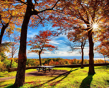 Autumn Picnic, sunshine, Canada, fall, colors, beautiful, grass, park, leaves, trees HD wallpaper