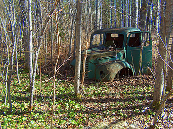 Old truck, harvest, vintage, truck, countryside HD wallpaper