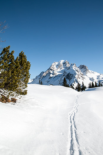 Landscape, Winter, Nature, Snow, Mountain, Path, Traces HD phone wallpaper