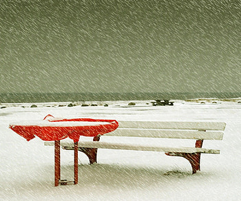 Winter, peaceful, wonderful, shining, fog, mountains, gorgeous, other, cold, miracle, magnificent, travels, nature, whiter trees, splendor blue in winter, graphy, silent, frosty, xmas, mist, quiet, holiday, shine, amazing, winter time, greeting, frozen, beautiful, splendidly, seasons, celebration, christmas, cool, splendor, rivers HD wallpaper