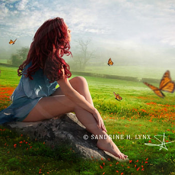 NEED YOU NOW, FEMALE, NATURE, FIELD, BUTTERFLIES HD wallpaper