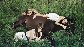 Girls With Horse, girls, animals, horses, grass, graphy HD wallpaper