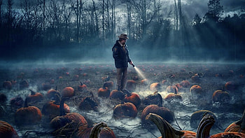 Stranger Things : Pumpkin Patch of the Upside Down HD wallpaper