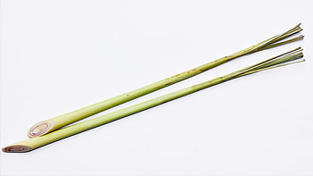 Using lemongrass, Culinary ingredient, Fresh herbs, Flavor enhancer HD wallpaper