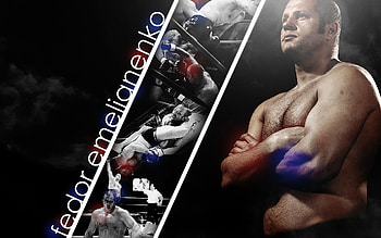 Fedor Emelianenko, Combat Sports HD wallpaper