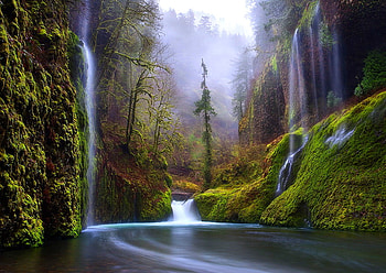 Beauty in nature, falls, river, gorge, hills, plants, moss, beauty, mist, cliffs, trees HD wallpaper
