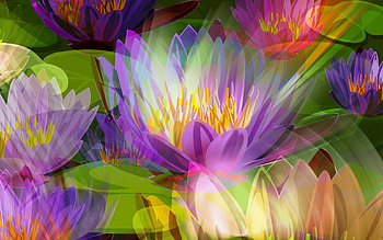 Abstract, Flowers, Background, Bright, Colorful, Colourful HD wallpaper