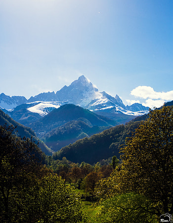 Landscape, Nature, Trees, Mountains, Vertex, Top, Forest, Mountain Range HD phone wallpaper