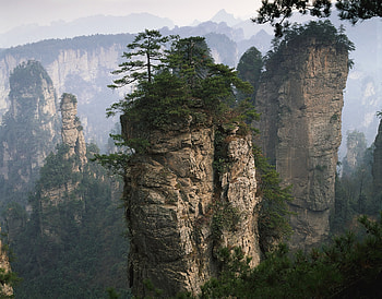 Nature, Trees, Mountains, Rocks, Vertex, Conifers, Coniferous, Fog, Vegetation, Height, Tops HD wallpaper