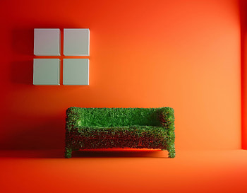 Grass, Miscellanea, Miscellaneous, Room, Sofa, Orange Background HD wallpaper