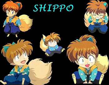 Shippo-Chan, anime, inuyasha, cute, shippo, fox, demon HD wallpaper