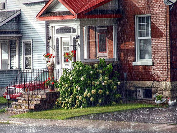 Neighbours House, neighbours, house HD wallpaper