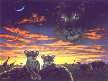 Lions heaven , lions, heaven HD wallpaper