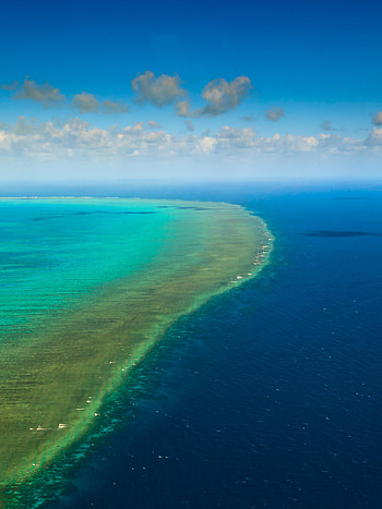 Great Barrier Reef, Australia's beauty, , Stunning coral reef HD phone wallpaper