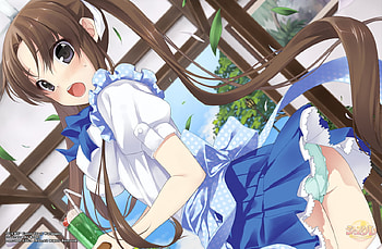 Sucre Girl, 2011, game, wall, girl, new, beauty HD wallpaper