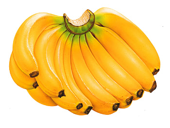 Banana Cluster, cluster, fruit, bunch, bannana HD wallpaper