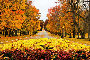 Autumn park, path, fall, beautiful, alleys, orange, nice, falling, leaves, light, yellow, trees, autumn, nature, flowers, lovely, foliage HD wallpaper