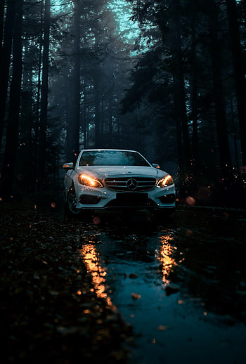 Car, Cars, Forest, Front View, Mercedes HD phone wallpaper