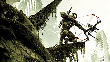 Bow Hunting Background , Full , Best Bow . HD wallpaper