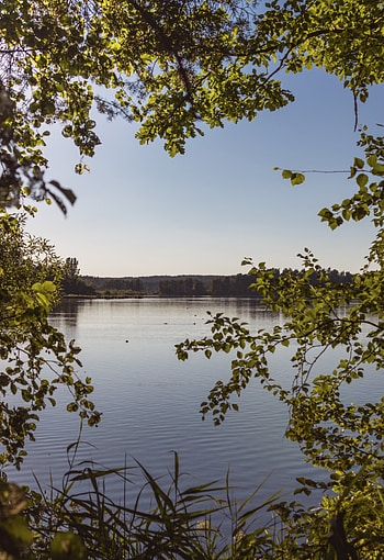 Nature, Trees, Leaves, Lake, Branches, Frame HD phone wallpaper