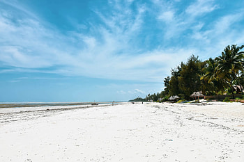 Blue Palm Guest House, Zanzibar retreat, Tranquil haven, Coastal paradise HD wallpaper