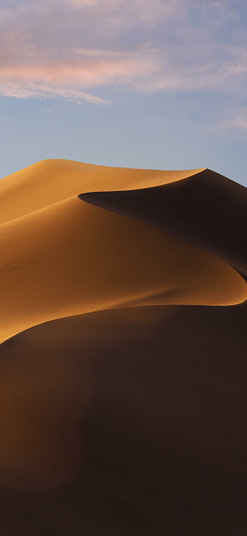 Mojave desert, Barren landscapes, Desert flora, Remote wilderness HD phone wallpaper
