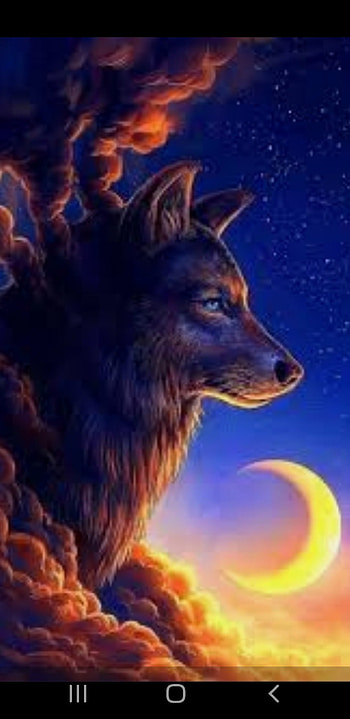 Wolf, atmosphere, sky HD phone wallpaper