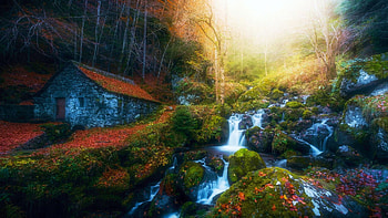 Waterfall of the Moulin de Chambeuil, France, river, leaves, house, autumn, cascades, trees, rocks, stones HD wallpaper