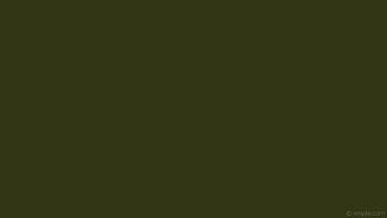 solid color one colour single plain yellow dark yellow HD wallpaper