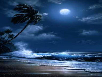 tropical moonlight, palm tree, waves, moon, beach HD wallpaper