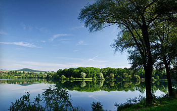 Landscape, Rivers, Trees HD wallpaper