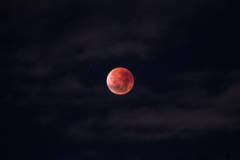 Blood Moon, moon, nature, night, stars, dark HD wallpaper