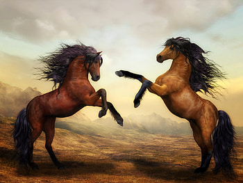Arabian Horse Artistic , horse, artwork, digital-art HD wallpaper