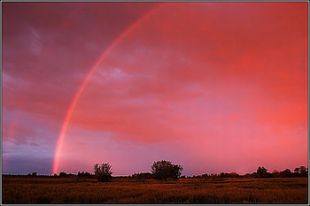 Pink Rainbow, pink, beautiful, rainbow HD wallpaper