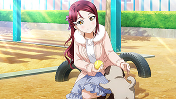 Love live!, anime girl, play with dog HD wallpaper