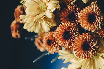 Flowers, Bouquet, Composition HD wallpaper