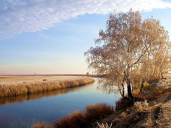 Landscape, Rivers, Trees HD wallpaper
